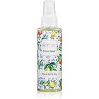 RYOR Citrus Spirit Mångsidig torr olja 100ml