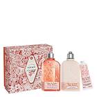 L'Occitane Cherry Body Gift 2024