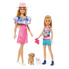 Barbie Stacie & Barbie Doll Set With 2 Pets (HRM09)