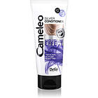 Delia Cosmetics Cameleo Silver Balsam för blont och grått hår neutralisering av 