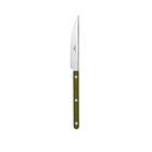 Sabre Paris Bistrot Dinner Knife Solid Green Fern Knivar