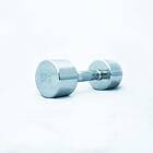 Titan Life PRO Chrome Dumbbell 5kg