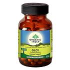 Organic India Guduchi/Giloy 90 kapslar EKO