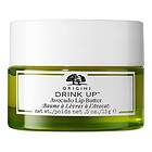 Origins Drink Up Nourishing Avocado Lip Butter 15ml