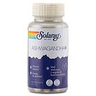 Solaray Ashwagandha+ 60 kaps