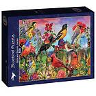Bluebird Puzzle Pussel Birds and Blooms Garden, 500 bitar