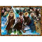 Ravensburger : Harry Potter Magical Student Harry Potter (1000)