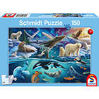 Schmidt : Arctic Animals (150)