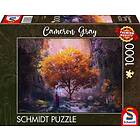 Schmidt : Cameron Gray Enchanted Forest (1000)