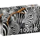 Enjoy : Zebras (1000)