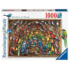 Ravensburger Rainbow of Birds 1000p