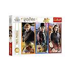 Trefl Puzzle Harry Potter In the world of magic and witchcraft (200 pieces) Golv