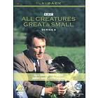 All Creatures Great & Small - Series 4 (UK) (DVD)