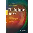 The Squiggle Sense Sixth Sense of the Complementary Nature and the Metastable Brain~Mind