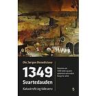 1349 svartedauden : katastrofe og tideverv : historien om 1300tallet og pestepid