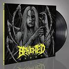 Benighted Ekbom