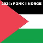 Diverse Punk 2024: Pønk i Norge