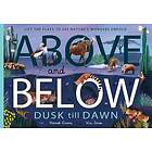 Above and Below: Dusk till Dawn