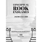 Conceptual Rook Endgames