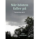 När hösten faller på : cancerresa del II