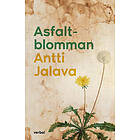 Asfaltblomman