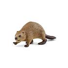 Schleich Bäver