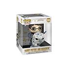 Funko ! POP Deluxe HP Harry & Buckbeak Figur