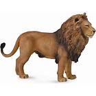 Collecta African Lion L Toy