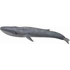 Collecta Blue Whale (Xl) 88834