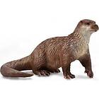 Collecta Common Otter (M) 88941