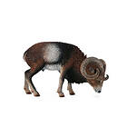 Collecta Europeisk Mouflon-Figur (004-88682)