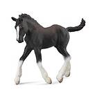 Collecta Figurine Horse Foal Shire Breed Black (88583)