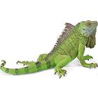 Collecta Iguana