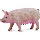 Collecta Sow M Toy