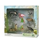 Collecta Set Med 8 Vilda Djur I En Förpackning 84098