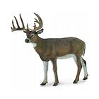 Collecta White Tailed Deer (L) 88832