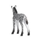 Mojo Zebra Føl