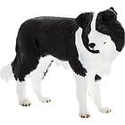 Mojo Border Collie Hund