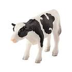 Mojo Holstein Kalv, Stående
