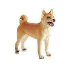 Mojo Shiba Hund