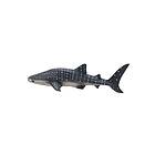 Mojo Whale Shark