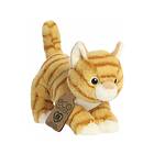 Aurora Eco Nation Plush Orange Tabby, 15 Cm