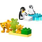 LEGO Duplo 10442 Wild Animal Families: Penguins And Lions