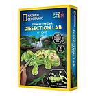 Adlibris National Geographic Gecko Dissection Lab