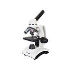 Levenhuk Discovery Femto Polar Microscope With Book