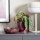 IKEA SILKESTRÄD dekorativ skål 18 cm