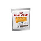 Royal Canin Energy Supplement Dog