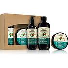 Green Pharmacy Coffee & Ginger Oil Set Presentförpackning 