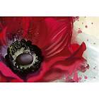 Dimex Tapet Poppy