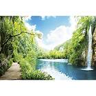 Dimex Tapet Relax in Forest